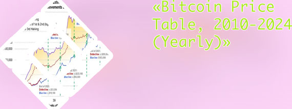 Bitcoin price first year