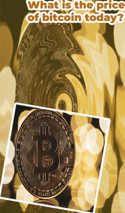 First bitcoin price