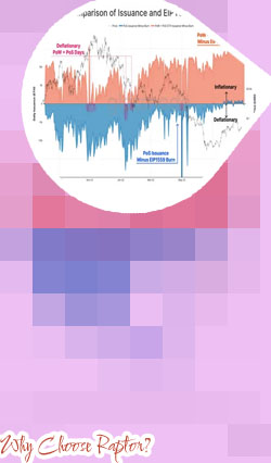 Raptor crypto
